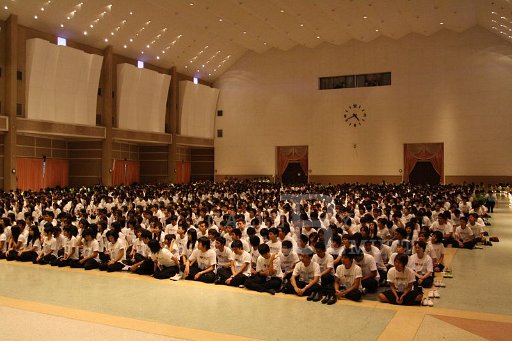 MCT087 Copy.JPG